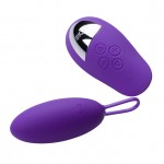 DORR SPOT WIRELESS EGG Paars