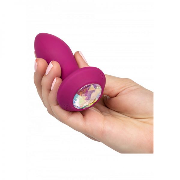 Vibrerende buttplug S Purple | Desireshop.nl | Alkmaar