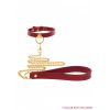 Taboom - O-Ring Collar and Chain Leash - Desireshop.nl