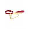 Taboom - O-Ring Collar and Chain Leash - Afbeelding 2