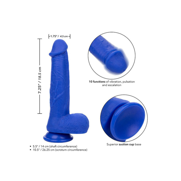 CalExotics - Admiral 8” Vibrating Captain - Afbeelding 6