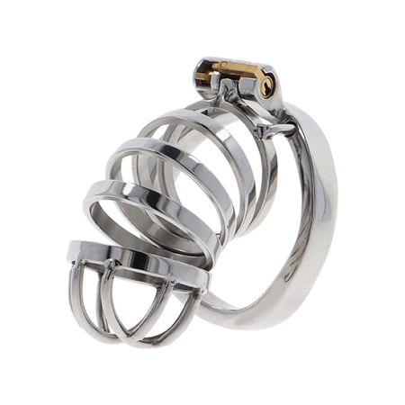 Hidden Desire - Extreme Chastity Cock Cage Metal - Desireshop.nl