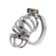 Hidden Desire - Extreme Chastity Cock Cage Metal - Desireshop.nl