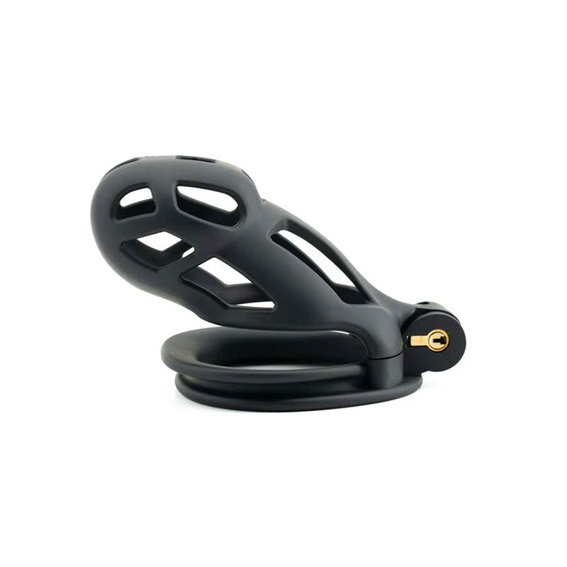 Hidden Desire - Penis Prison Cock Cage Black - Desireshop.nl