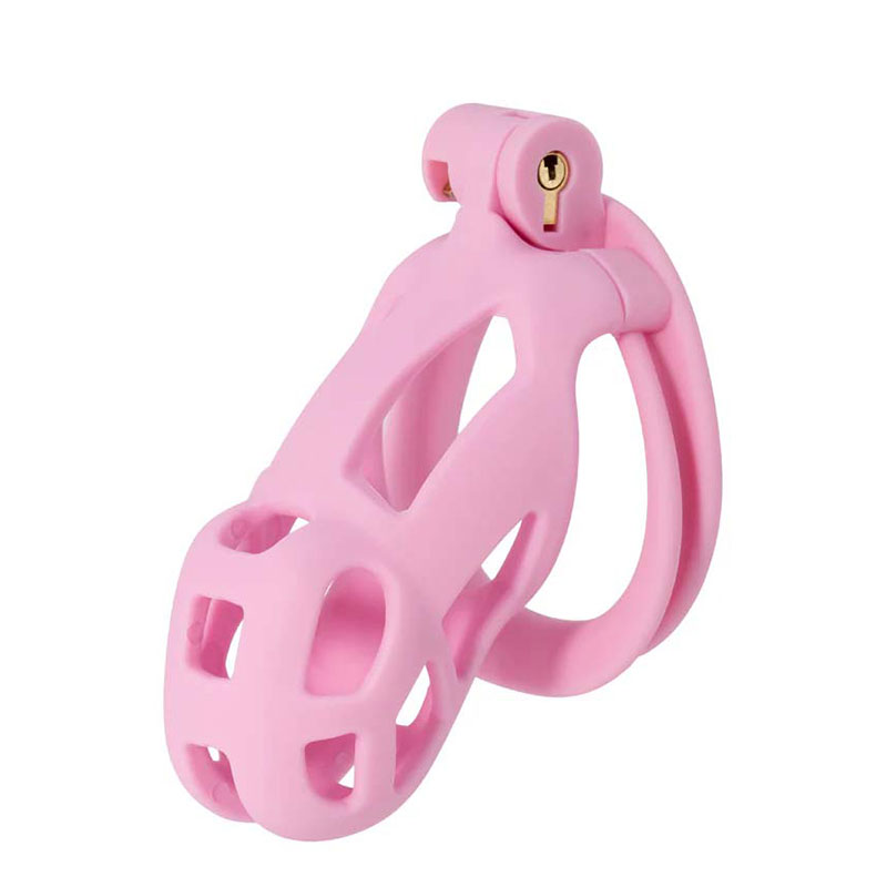 Hidden Desire - Penis Prison Cock Cage - Desireshop.nl