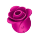 Satisfyer - Pro 2 Modern Blossom - Desireshop.nl